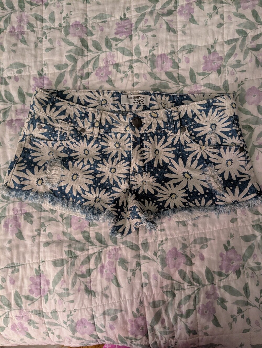 Harmony + Havoc Size 7 Blue & White Daisy Patterned Distressed Jean Shorts